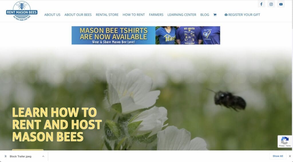 rentmy, rental business