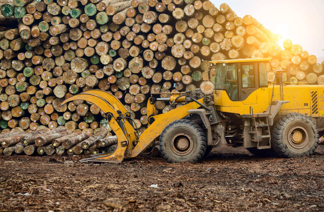Large log loader and a stack of logs representing equipment and tool rental business
