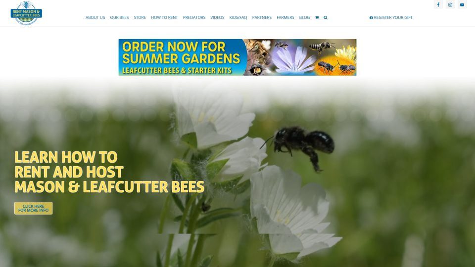 Rent Mason Bees website's screenshot