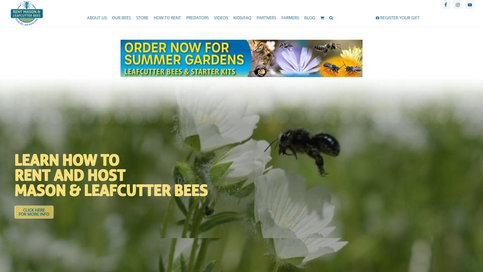 Rent Mason Bees website's screenshot