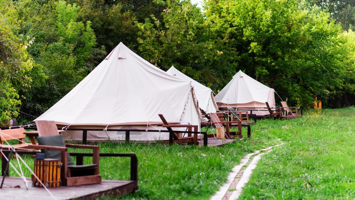 Glamping tents arranged on wooden platforms in a grassy venue